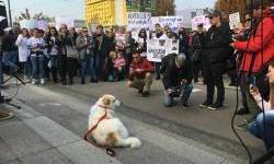 Zakon je mrtav kao i većina pasa