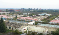 Vasiljević izmuzao Farmland i ostavio pustoš (VIDEO)