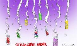 Stranački kadar