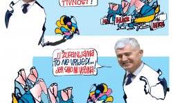 Logika države i kantona