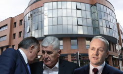 Nikšić i Grabovica za IT sektor predaju carine Dodiku i Čoviću