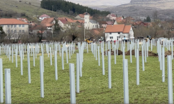Godina dana borbe protiv solarne elektrane — spor i dalje na početku