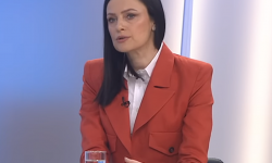Sniženi kriteriji doveli Jelenu Pajić - Baštinac na novu funkciju