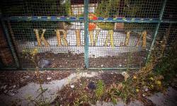 Kako je sistemski i sistematski opljačkana Krivaja?