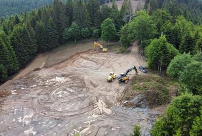 Kompanija Adriatic Metals nekažnjeno posjekla 3000 kvadrata šume