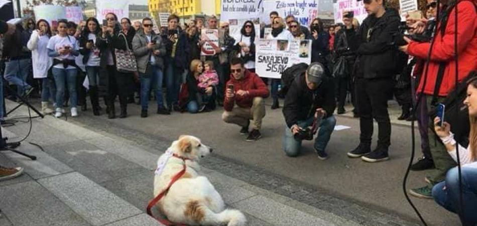 Zakon je mrtav kao i većina pasa