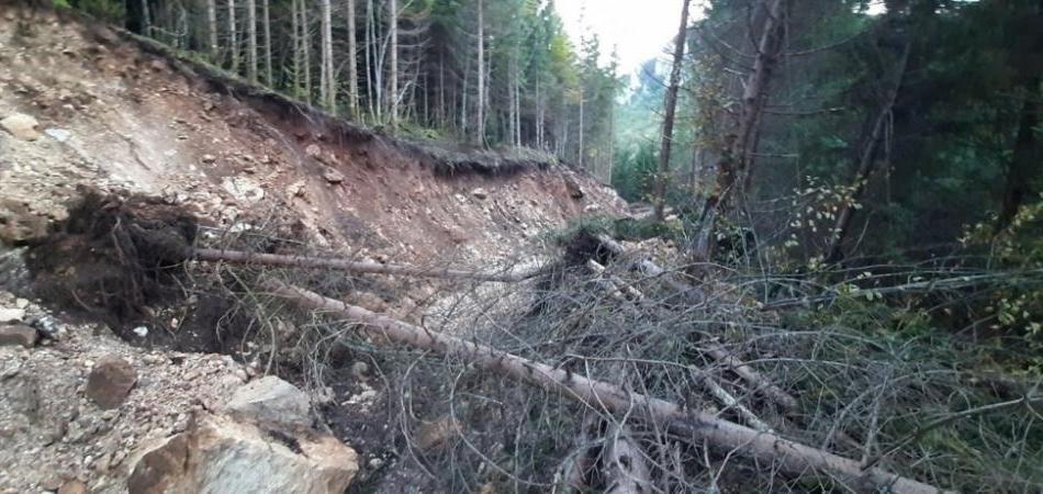 Samospaljivanje, drvene palice i lažni dokumenti