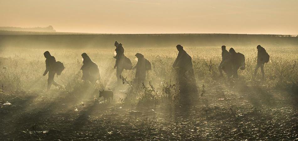 BALKAN PHOTO AWARD: Marko Risović dobitnik je Canon Grand Prixa