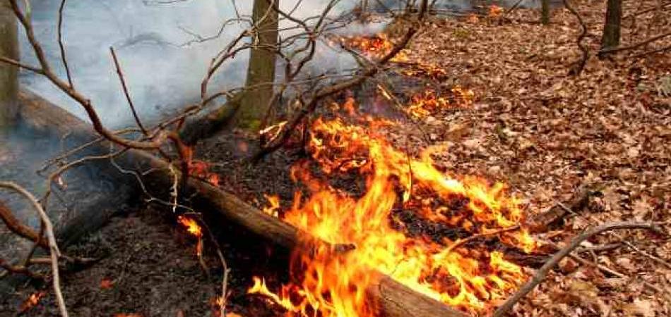 FBiH: Prošle godine požari progutali 48 miliona KM, još nema procjena ovogodišnjih šteta