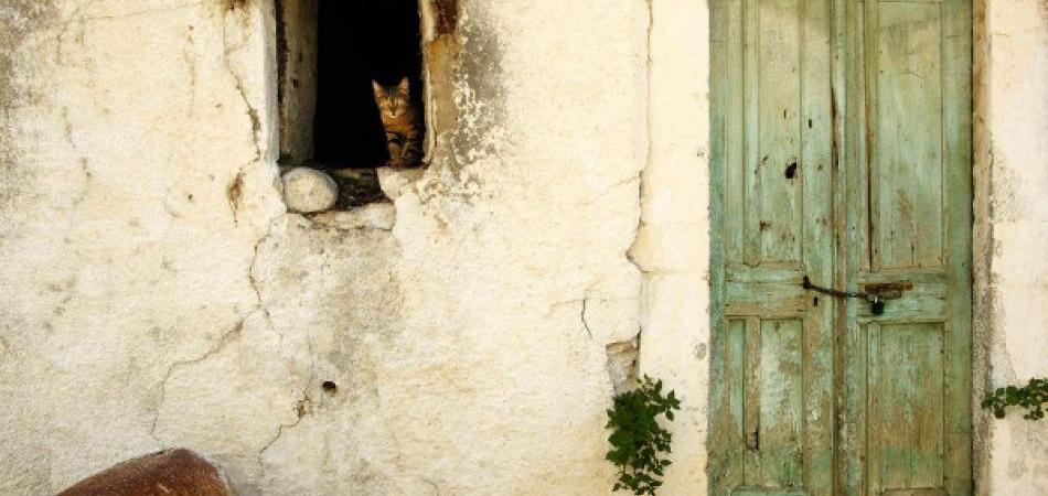 POHVALA PODSTANARIMA: Život u kući koju su mrzili njeni vlasnici