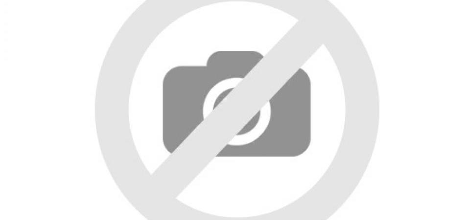 Subotnji dernek Nikole Špirića