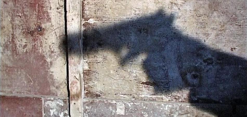 Sutra, tačno u podne, pogledajte film “Bitka za političkog komesara”
