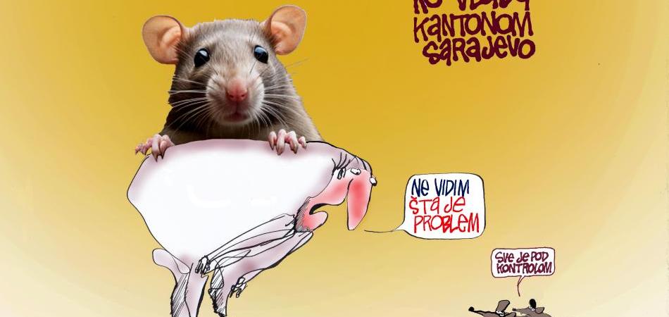 Najezda štakora