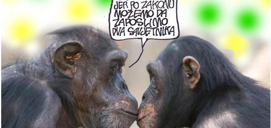 Nove nade, nove snage