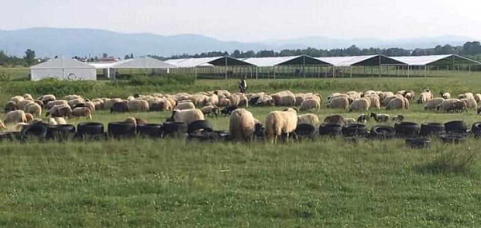 Sumnjiva potrošnja stotine miliona maraka nikada nije došla do tužilaca