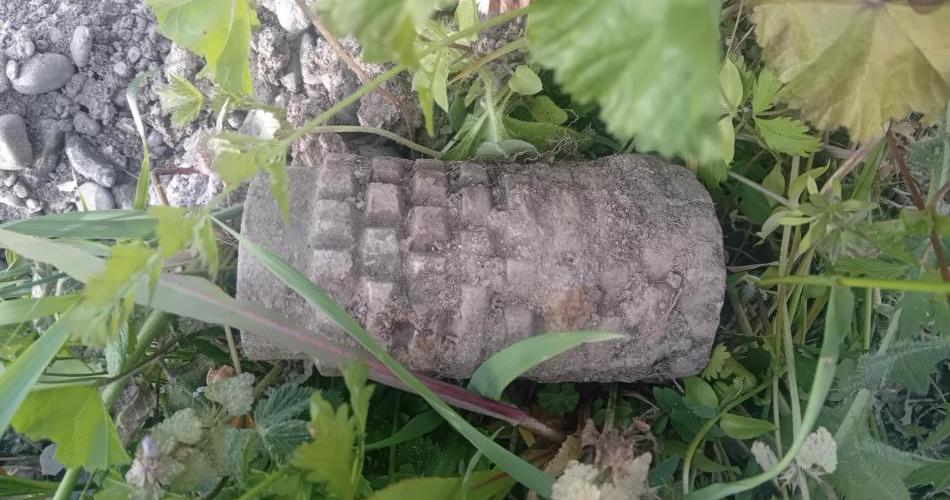 Demineri stigli, ali zaobišli imanje na kojem su pronađene mine