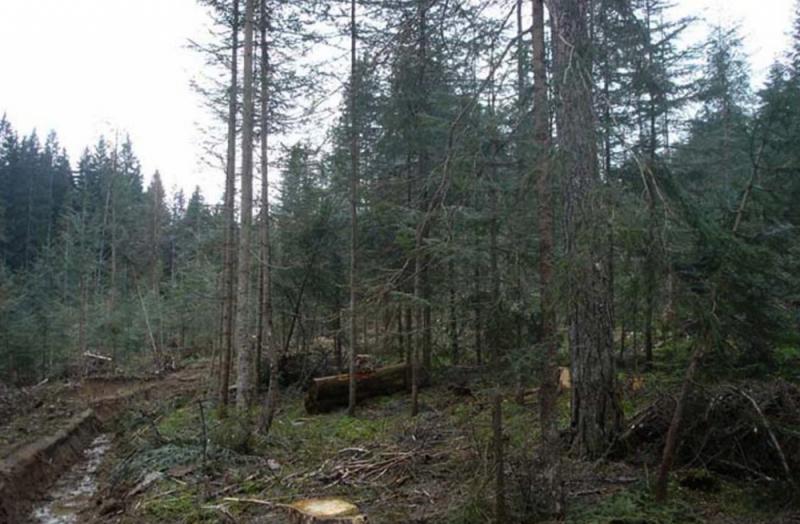 Ekološka katastrofa na platou Romanije!