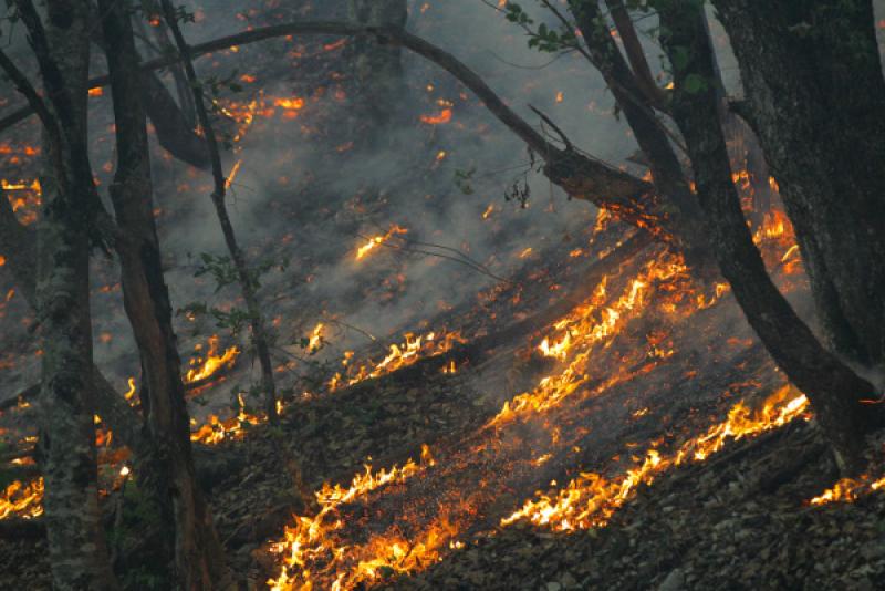 DOK GORI HERCEGOVINA: Bajramsko raspoloženje u Civilnoj zaštiti