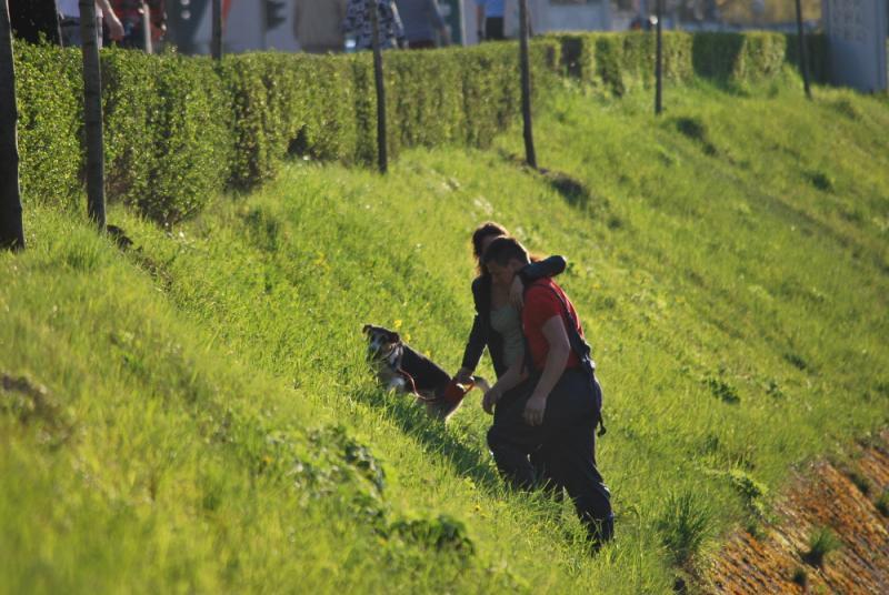 Ljudi & životinje: Radnik spasio psa iz Miljacke