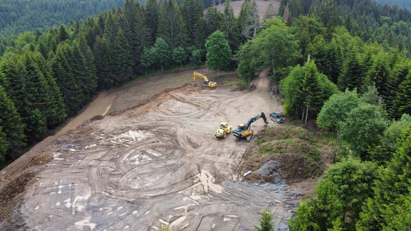 Kompanija Adriatic Metals nekažnjeno posjekla 3000 kvadrata šume