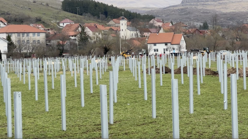 Godina dana borbe protiv solarne elektrane — spor i dalje na početku