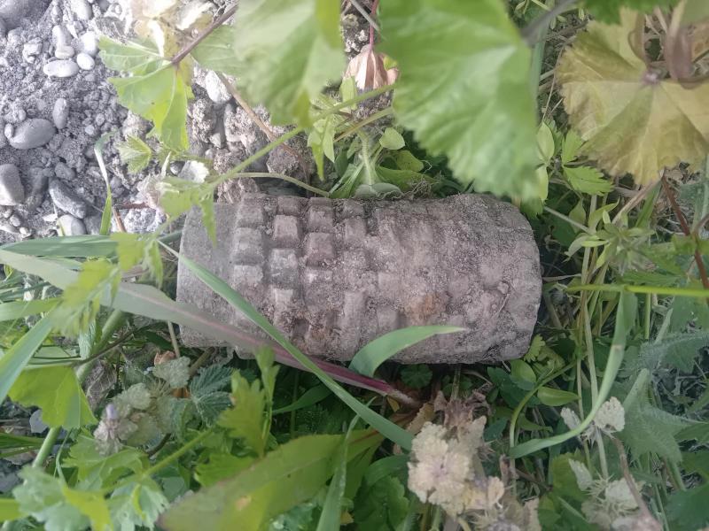 Porodica Šehić pod minama